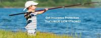 Blue Lion Insurance Advisors, LLC image 22